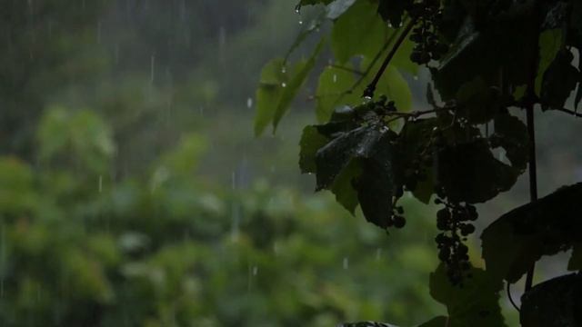 Heavy Rain and Piano for Sleep , Study and Relaxation | Дождь и Пианино смотреть онлайн