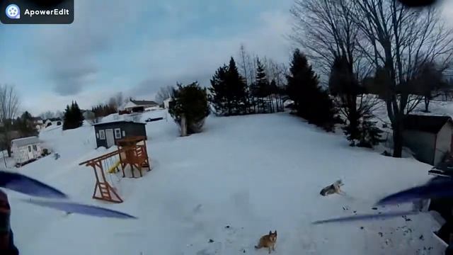 rotorfly house смотреть онлайн