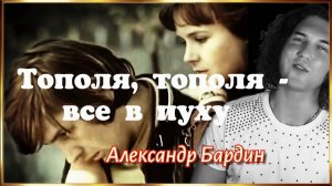 Тополя, тополя все в пуху. (Александр Бардин)