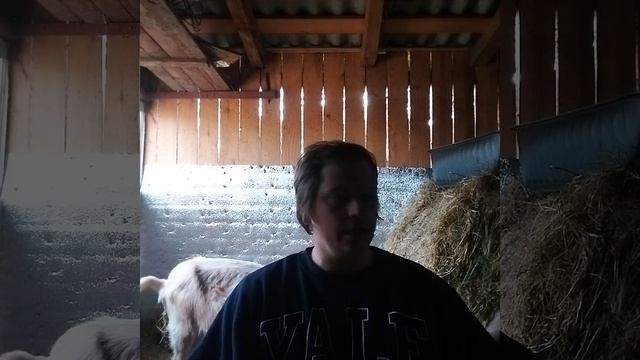 часть 2.Иисус- Бог моей жизни. У немощи и болезни нет никакой власти надо мной. смотреть онлайн