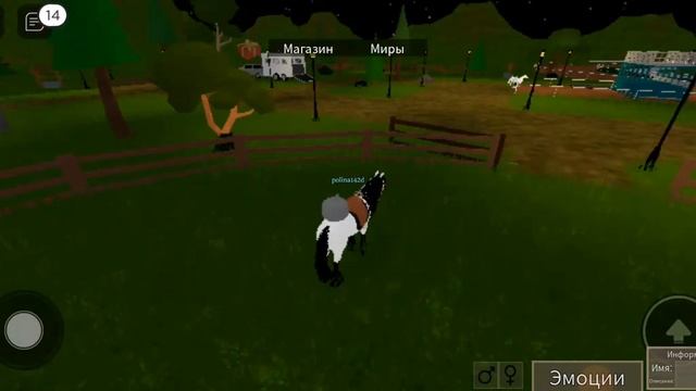 Horse лошади лошадиный мир