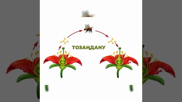Атмосфера және оның құрамдас бөліктері смотреть онлайн