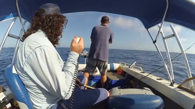 Terrigal FAD 30/03/2018 Dolphinfish смотреть онлайн