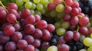 Виноград Долгожданный характеристика и описание сорта - Ягоды