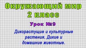 Окружающий мир 2 класс (Урок№9 - Дикорастущие и культурные растения. Дикие и домашние животные.)