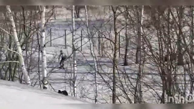 18.03.2023г.Соревнование по лыжным гонкам "ЛЫЖНЯ НАДЕЖДЫ" г.о. Павловский посад смотреть онлайн