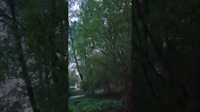 Узнай про свой темперамент, характер, акцентуацию... смотреть онлайн