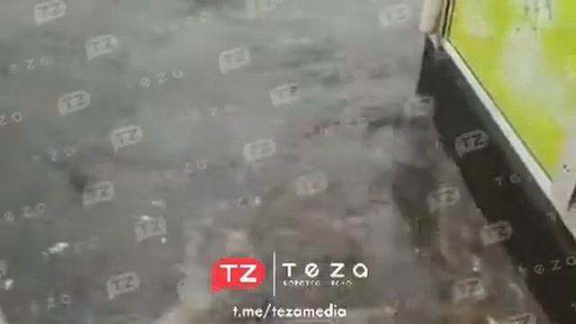 Потоп в Житомире 2 смотреть онлайн