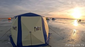 Нашли скопление крупняка и давай его таскать! Они клевали и сразу тащили в камыш.