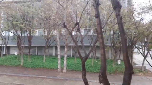 From my window. English project. Collège français international de Reus. смотреть онлайн