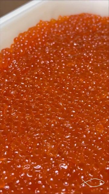 Икра Кеты Salmonica Тымлатский РК #kamchatka #вкусно #камчатка смотреть онлайн