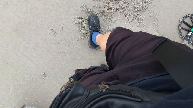 BEACH METAL DETECTING - IPHONE 11 @ OCEAN 14/IPHONE BEACH FLORIDA WITH A FP EQUINOX 800 смотреть онлайн