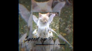 \\ ВАЙБОВЫЕ песни )) 🌹🌹 (( speed up )) для прогулок / ночных посиделок на кухне //