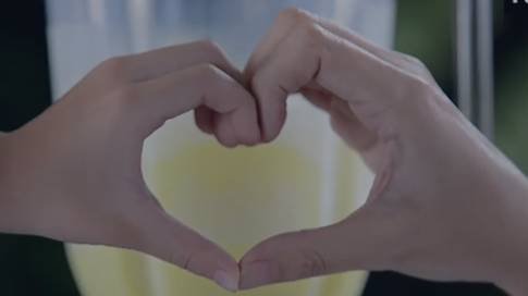 Панасоник В Сериес