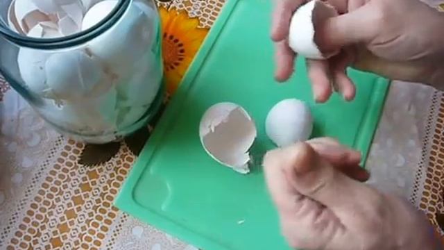 2015.  Не выбрасывайте яичную скорлупку!!!(ВПЛ)