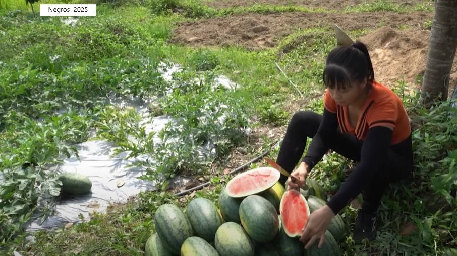 Дорис 2. Дорис собирает арбузы и готовит свинину. смотреть онлайн