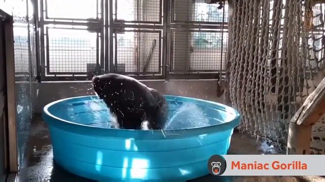 IPhone 12 в 2024 - Топ за свои деньги? смотреть онлайн