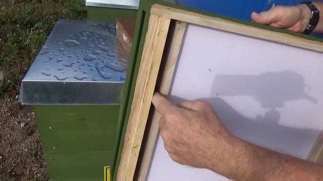 Projekt Biene 19 - Ableger an seinen Standplatz bringen und füttern смотреть онлайн