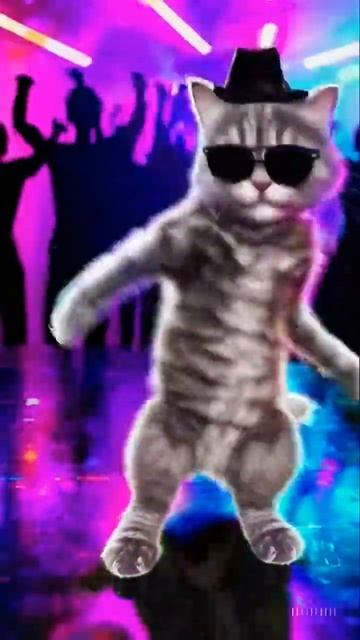 Cat’s Groovy Disco Dance смотреть онлайн