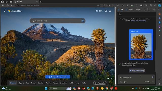 Edge Copilot now lets you add Screenshots - here's how it works смотреть онлайн