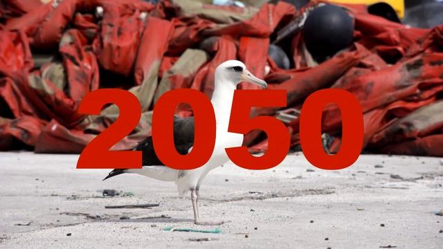 Ocean Plastic and Seabirds - A #TeamSeas Video смотреть онлайн