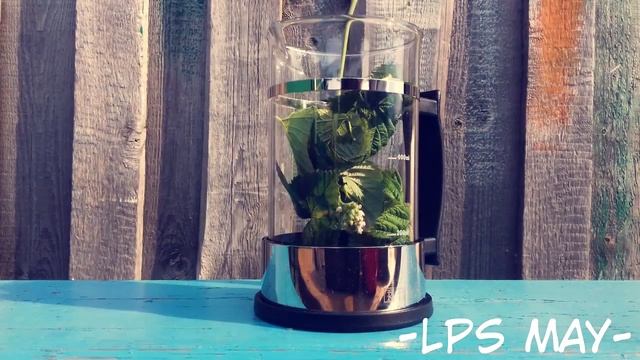 lps: готовим зелёный чай смотреть онлайн