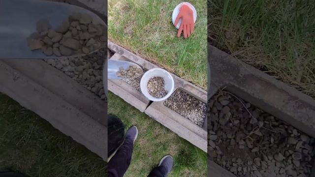 Weed control under my apple tree with gravel and landscape fabric смотреть онлайн