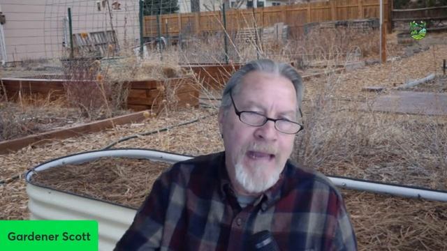 Develop a Gardening Philosophy (Q&A) смотреть онлайн