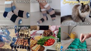 #96 СВЯЗАЛА СЕБЕ НОСКИ! 🧦 Приезжали дети. Посадила помидоры. ВЛОГ за неделю. ЗАГОРОДНАЯ ЖИЗНЬ! 🏠