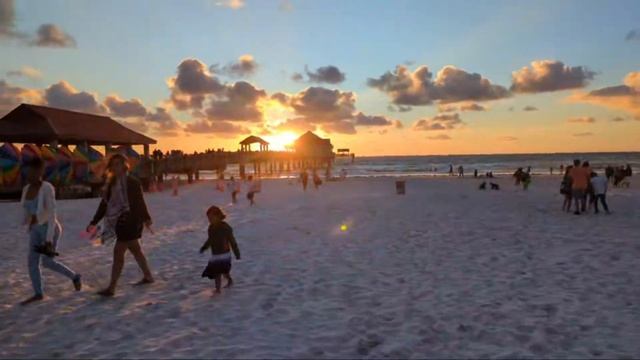 Live Clearwater Bch смотреть онлайн