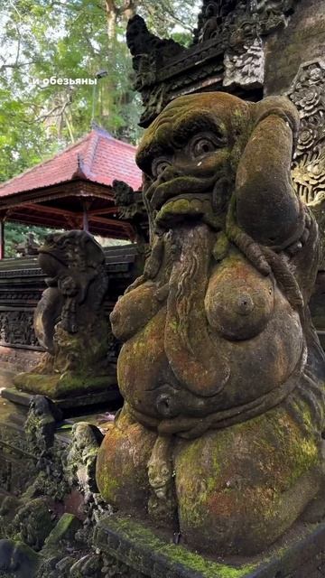 Бесплатно в лес обезьян в Убуде? Можно! смотреть онлайн