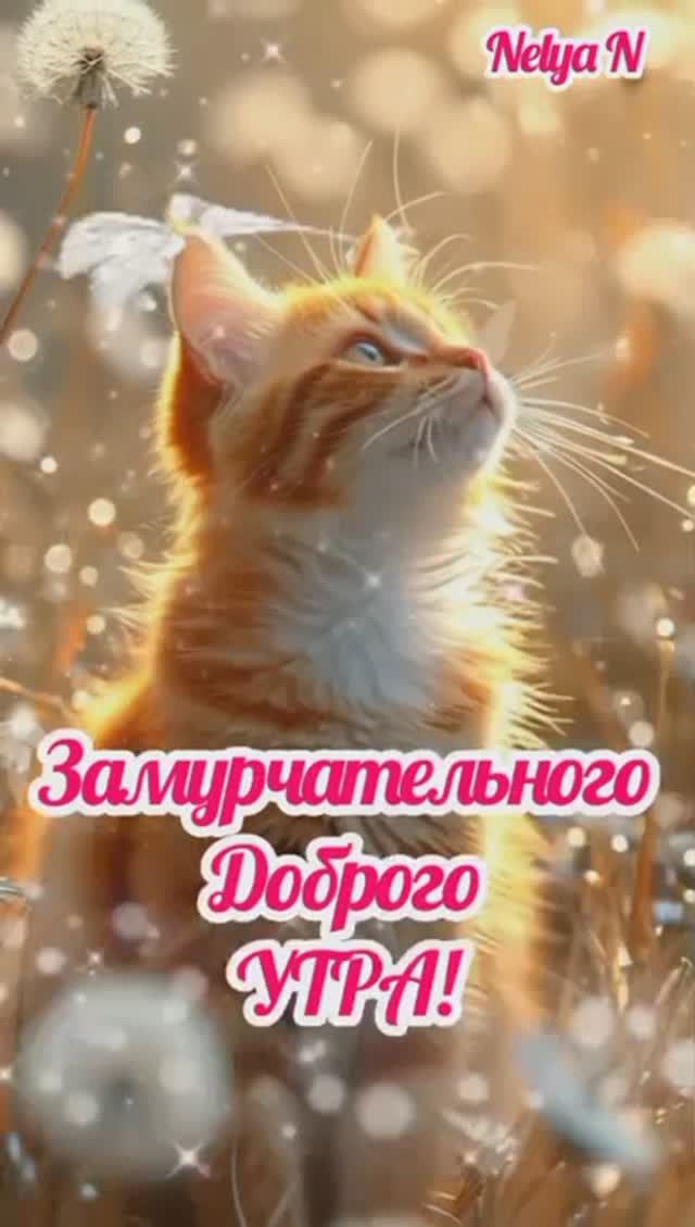 Доброе Утро! Добрый Вечер!ВидеоОткрытки на каждый день! смотреть онлайн