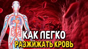 Как легко разжижать кровь - Густой крови не будет - НАРОДНАЯ МЕДИЦИНА - КАК ЛЕЧИТЬ