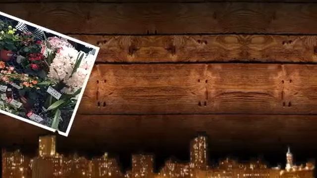 This video produced by movieStudio ios version смотреть онлайн