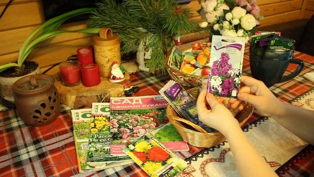 Семена ЦВЕТОВ на 2023 для цветущей дачи смотреть онлайн