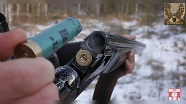 Можно ли стрелять без путевки в лесу