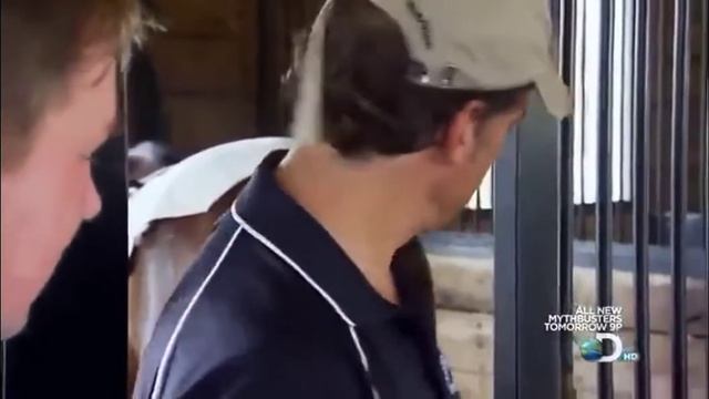 Pulling poo out of a Horse's Butt смотреть онлайн