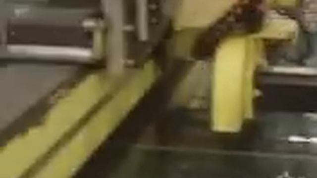 The window Shoppe--PGT- Hurricane Windows- DIY Special- смотреть онлайн