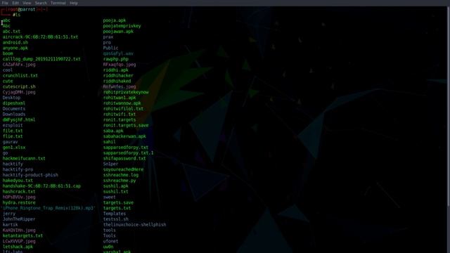 introduction of linux penetration testing смотреть онлайн