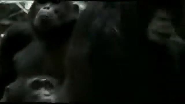 Маленькую олену спасает. Обезьяны супер смотреть онлайн