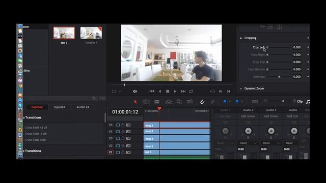 Further Cloning applications in DaVinci resolve 12.5 смотреть онлайн