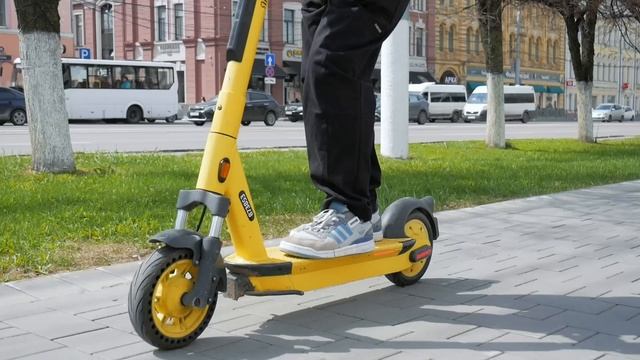 Флешмоб