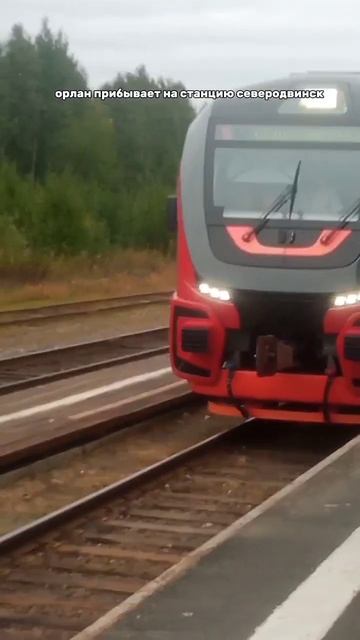 орлан Архангельск-ненекса #рельсобус #архангельск #орлан #ласточка #поезд #мцк #мцд #электрички смотреть онлайн