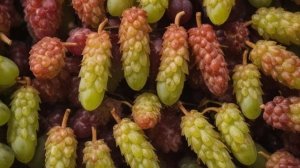 Виноград Ведьмины пальцы характеристика и описание сорта - Ягоды