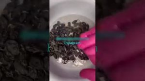 давленияни ва Конни тез кутариш уй шароитида оддий усулда