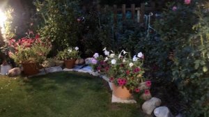 Вечерний сад. Освещение в саду