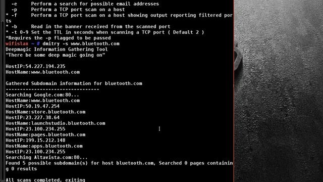 dmitry information gathering tool for pen testing смотреть онлайн
