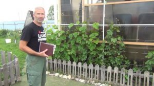 1 серия. Двухлетний виноград цветёт. В гостях у Димы