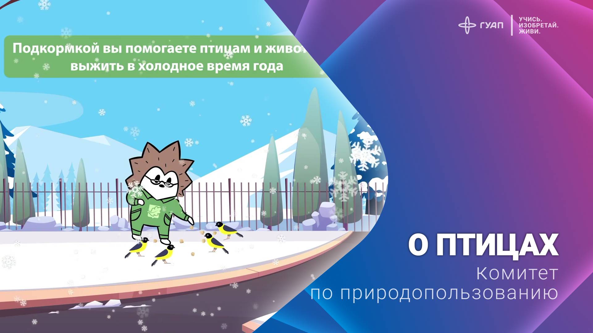 О птицах. Комитет по природопользованию смотреть онлайн