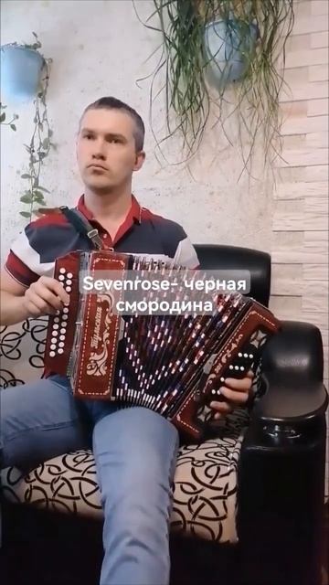 Sevenrose - чёрная смородина (cover) смотреть онлайн